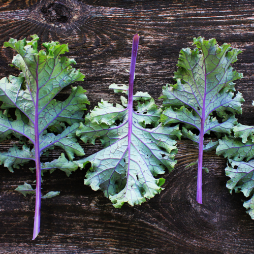 Brassicas Wholesale