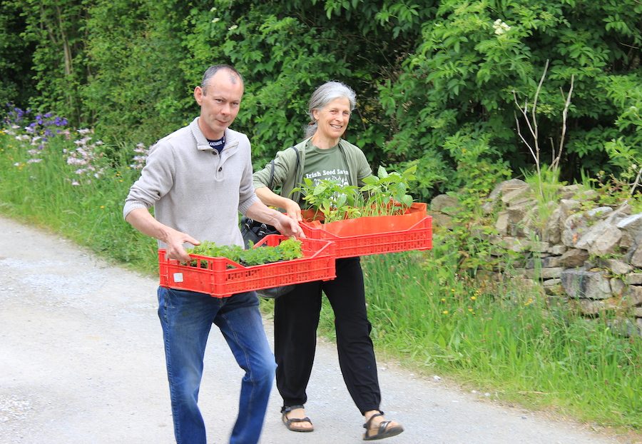 Concessionary Supporter