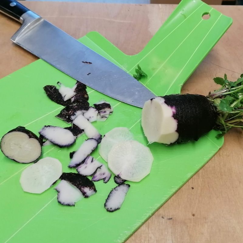 Radish, Violet de Gournay