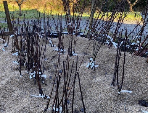 Life of the Farm – January 2022