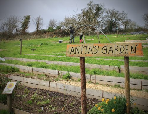 Life on the Farm – March