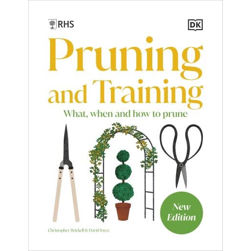 RHS Pruning and Training