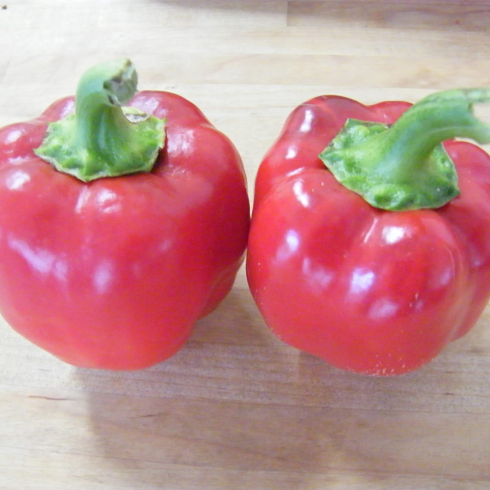 Pepper, Sunnybrook - Image 2