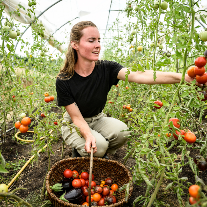 Klaus Laitenberger 'Growing in Polytunnels or Greenhouses' - Saturday 22nd March