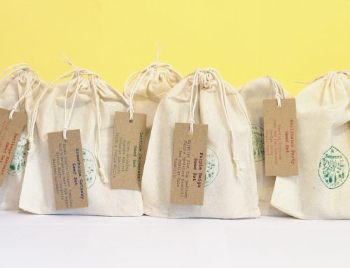 Introducing Our 2026 Seed Set Collection