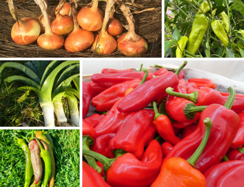 Kickstart Your Gardening Season!