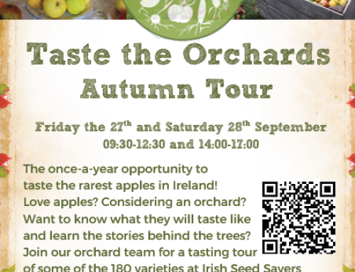 Taste the Orchards Events 2025