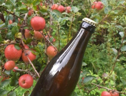Natural Cider Making Workshop – Saturday 11th October, 10am to 4pm