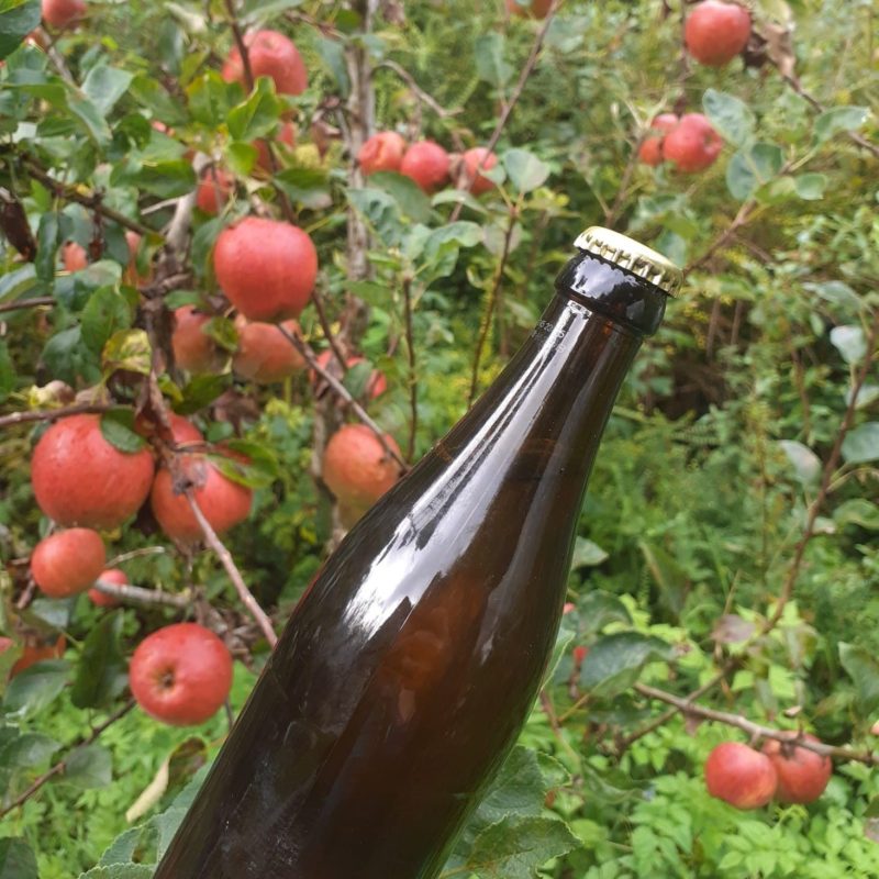 Natural Cider Making - Saturday 11th October, 10am to 4pm