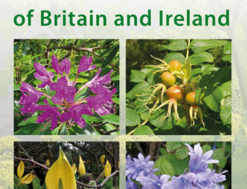 New Book: Non-Native Invasive Plants of Britain and Ireland