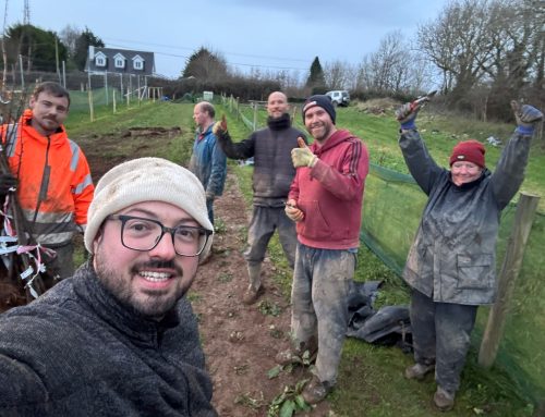 A Winter Harvest for Ireland’s Future