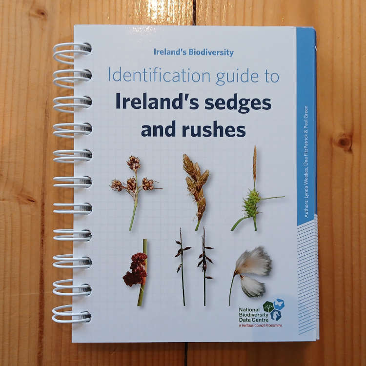 Identification Guide to Ireland's Sedges and Rushes