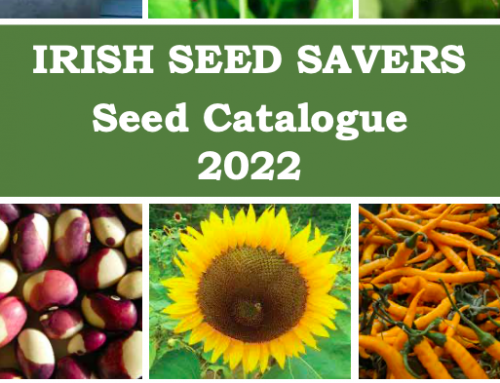 2022 Heirloom Seed Catalogue