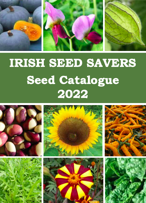 2022 Heirloom Seed Catalogue – Irish Seed Savers Association