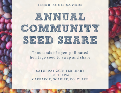 Annual Community Seed Share 2023