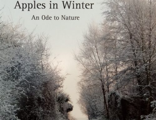 Apples in Winter to Feature on TG4