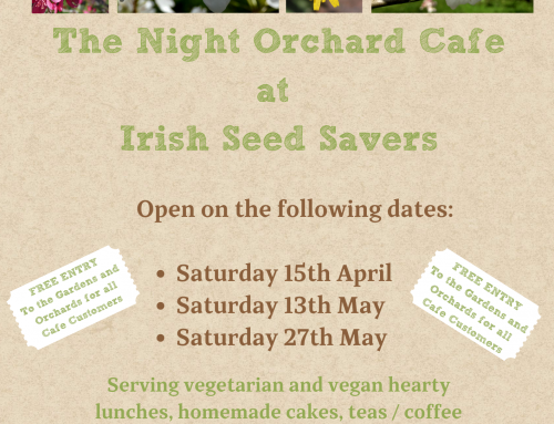 The Night Orchard Pop Up Café at Irish Seed Savers