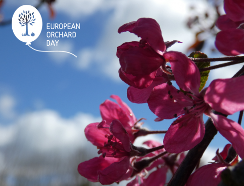Let’s Celebrate European Orchard Day 2023!