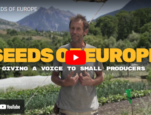 Seeds of Europe – Documentary Film