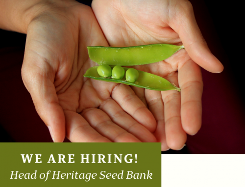 Vacancy for Head of Heritage Seed Bank