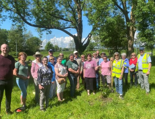 Return to Nature Clare Church Biodiversity Project