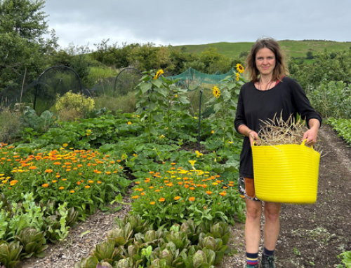 Celebrate National Heritage Week at Irish Seed Savers