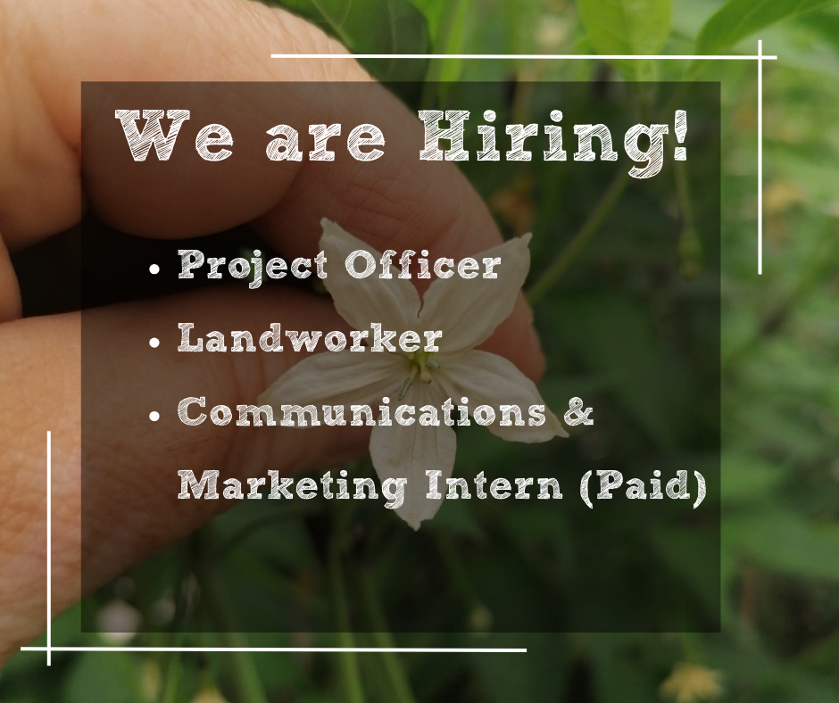 2026 feb we are hiring