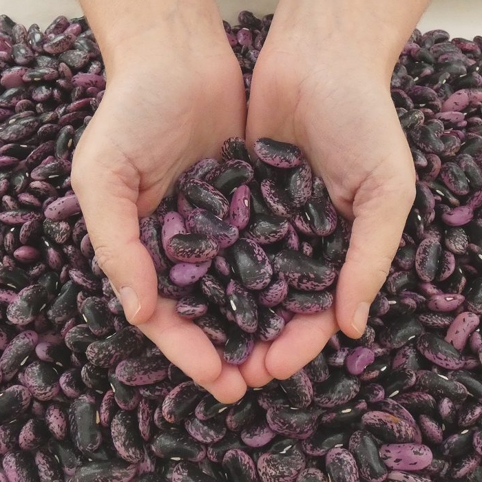 Sorcha Fraiarella Peppers