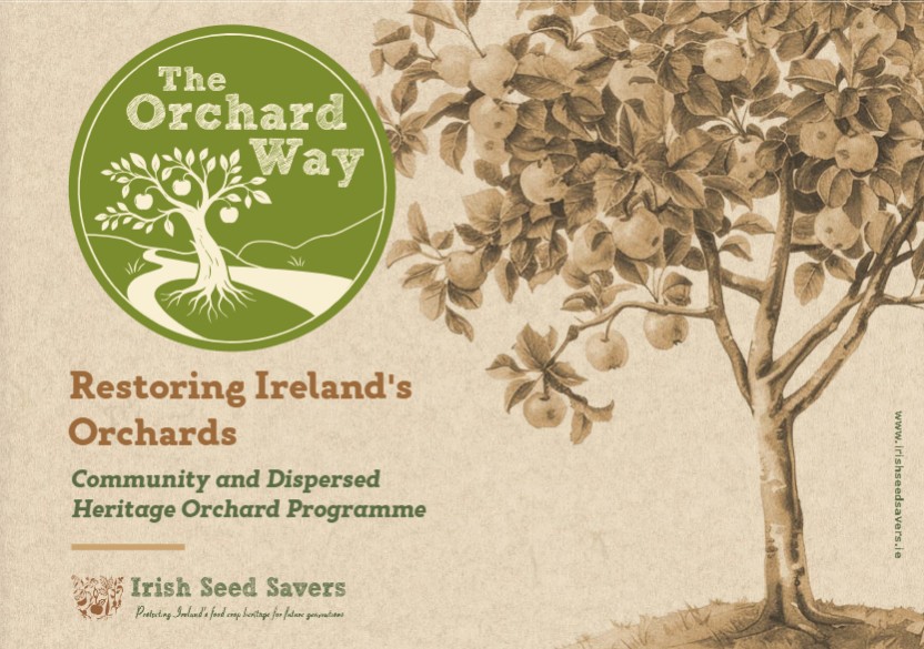 The Orchard Way Cover
